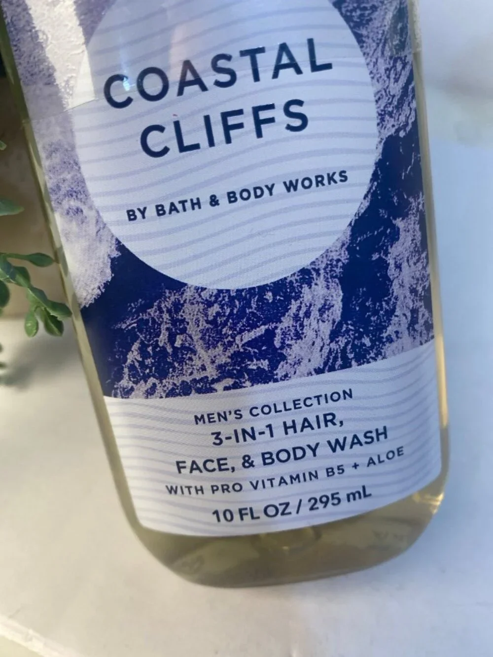Men’s “Coastal Cliffs” Bath & Body Works New Body Wash Factory Sealed